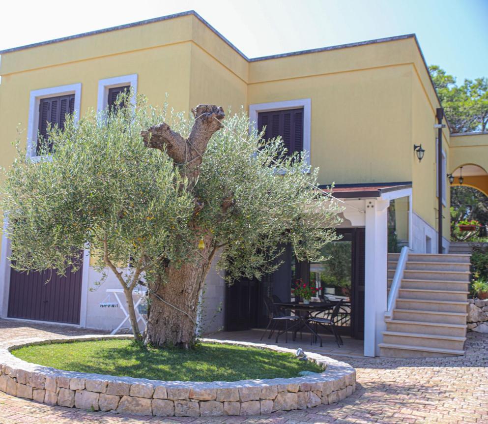 Villa Arisa With Pool Selva Di Fasano Exteriér fotografie