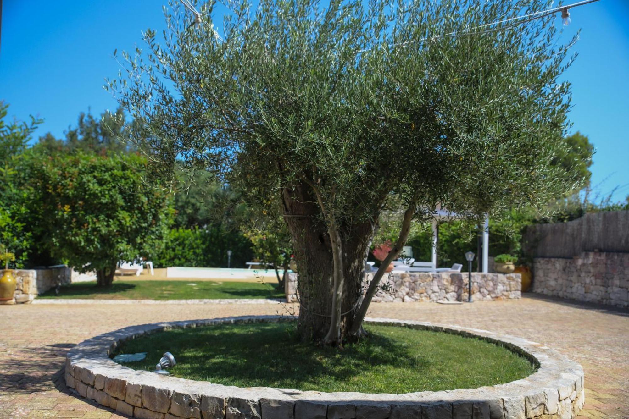 Villa Arisa With Pool Selva Di Fasano Exteriér fotografie